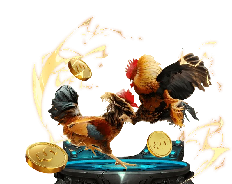 Hướng dẫn cá cược trực tuyến five88.top